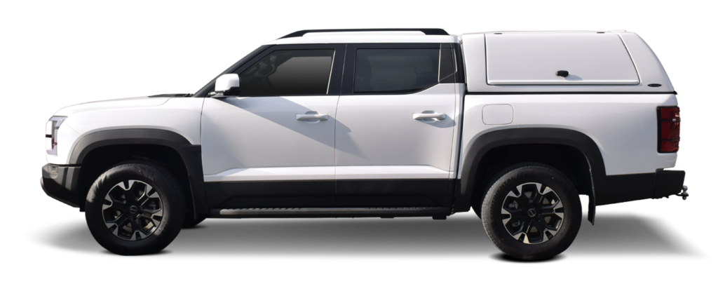 banner-byd-Shark-1024x415